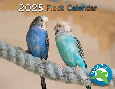 Cover image of the 2025 MAARS flock calendar